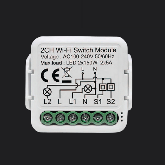 WiFi 2 Gang Switch Module